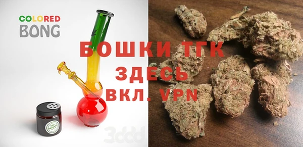 индика Бронницы